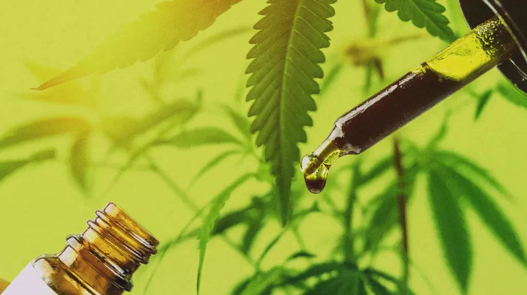 CBD adagolás – útmutató a megfelelő mennyiség kiválasztásához kezdőknek és haladóknak, testtömeg és cél alapján.
