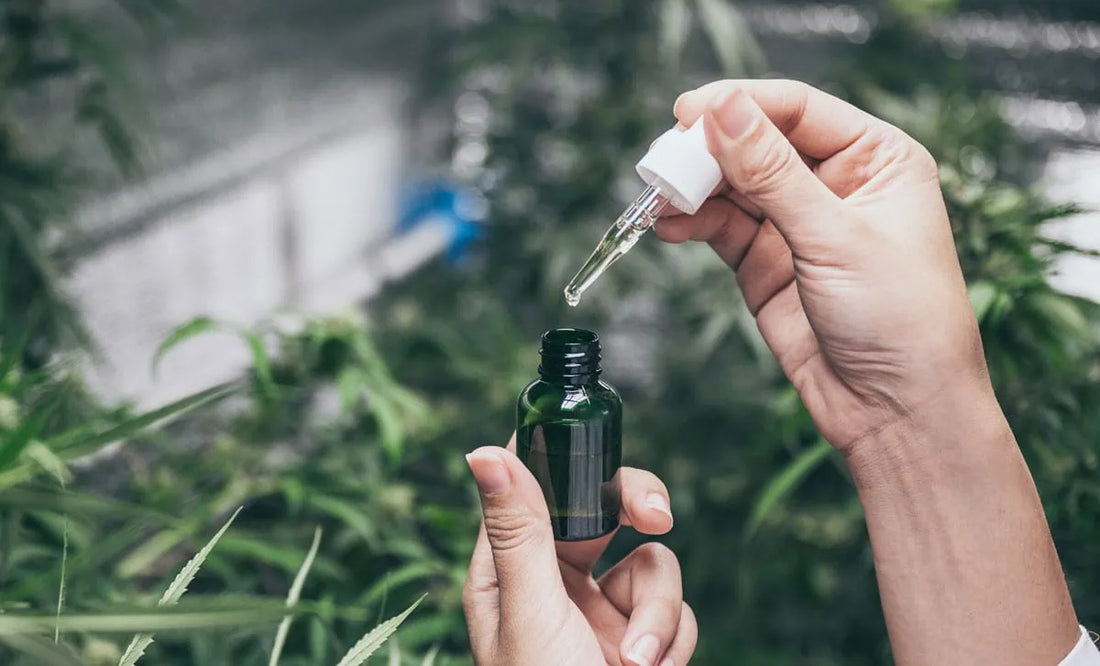 CBD vásárlás okosan – hogyan kerüld el az átveréseket