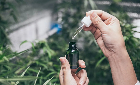 CBD vásárlás okosan – hogyan kerüld el az átveréseket