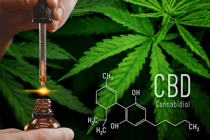 CBD hatása az egészségre – természetes támogatás a stressz, gyulladás, alvászavar és krónikus fájdalom enyhítésére, mellékhatások nélkül.