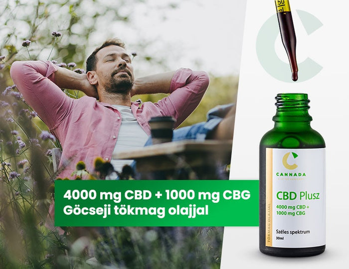 CBD olaj ár-összehasonlítás 2025: melyik a legjobb CBD olaj?