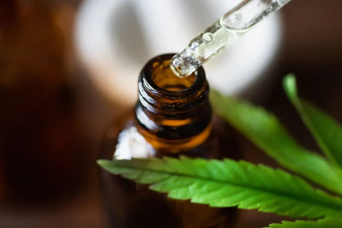 Teljes Spektrumú CBD Olaj